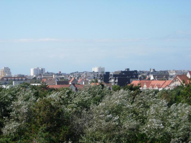 berck