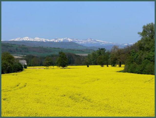 Sancy depuis Issoire