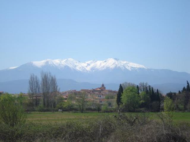 Canohès , le village vu de la prade