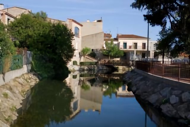 Torreilles, les berges du Bourdigou 01