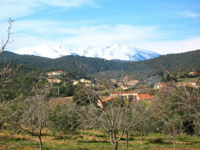 LE CANIGOU VU DEPUIS TORDERES