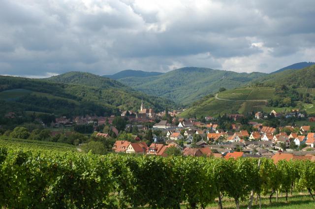 Vue sur Andlau, Bas-Rhin, Alsace
