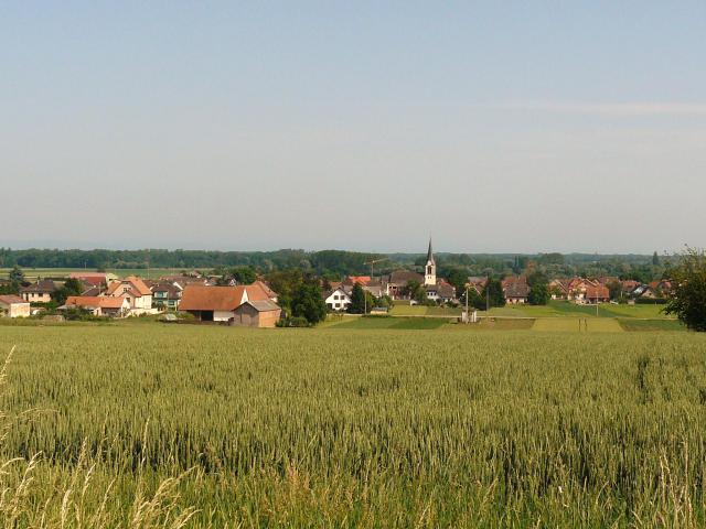 Vue sur le village d'Innenheim