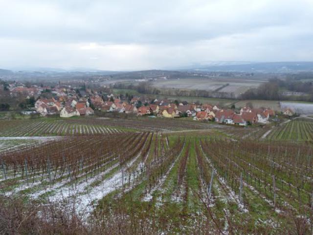 blick vom Aussichtsberges - Odratzheim
