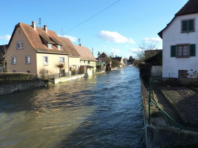 L'Ill en crue à Ebersmunster