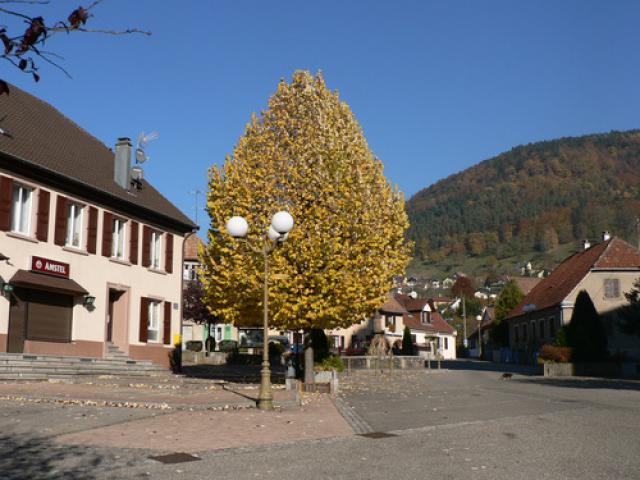 L'automne