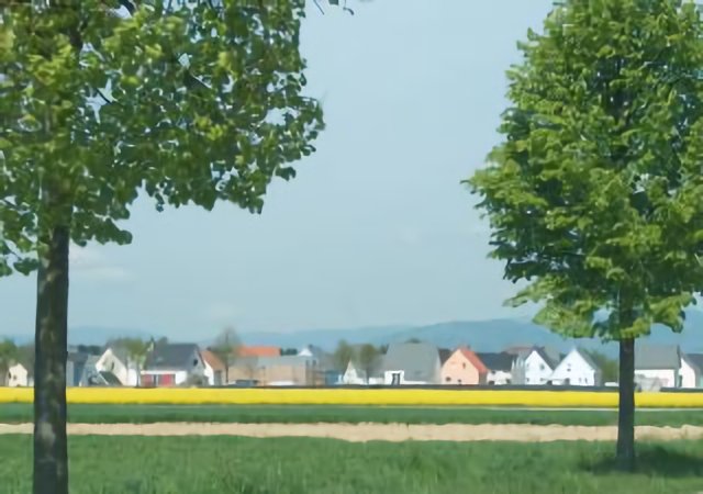 Alsazia