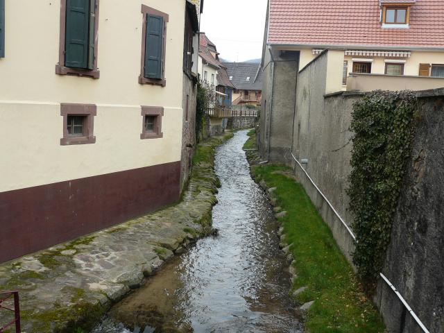 Cours d'eau de l'Ochsenbach