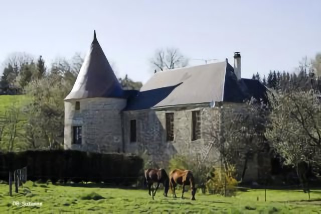 08 Suzanne - Château