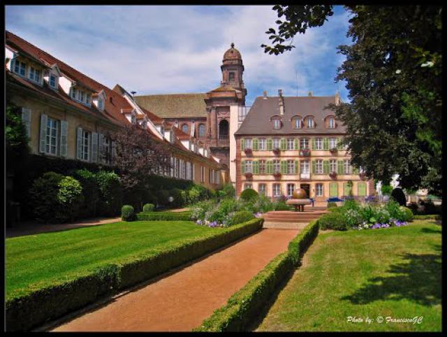 GUEBWILLER - La route des vins-Alsace-France....(by FranciscoGC)