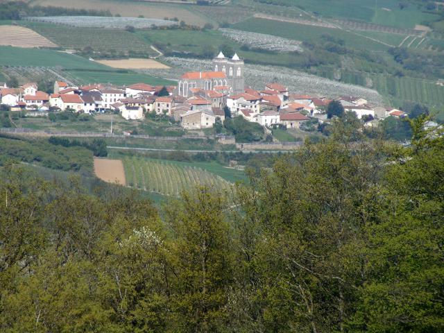 Vue générale depuis le sommet du Châtelard : le village de Saint-Didier-sous-Riverie et les côteaux du Lyonnais