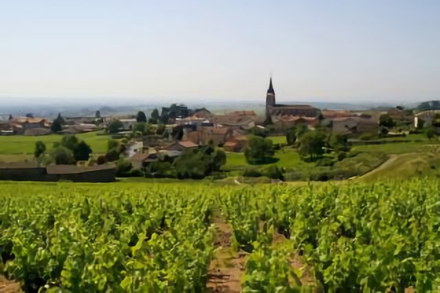 Village Beaujolais