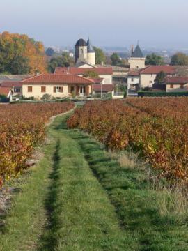 St Lager - Beaujolais (Rhône)