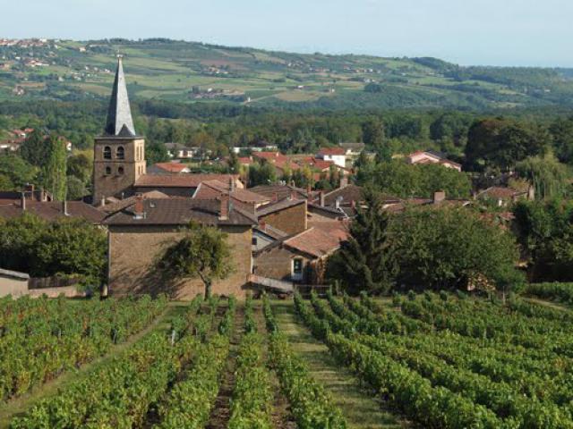 Vue sur le village de Frontenas - 2