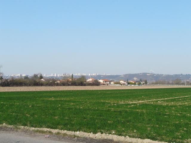 Terres agricoles à Vaulx-en-Velin proches du "Bourg". Au fond, la Cotière et les tours de Rillieux-la-Pape.