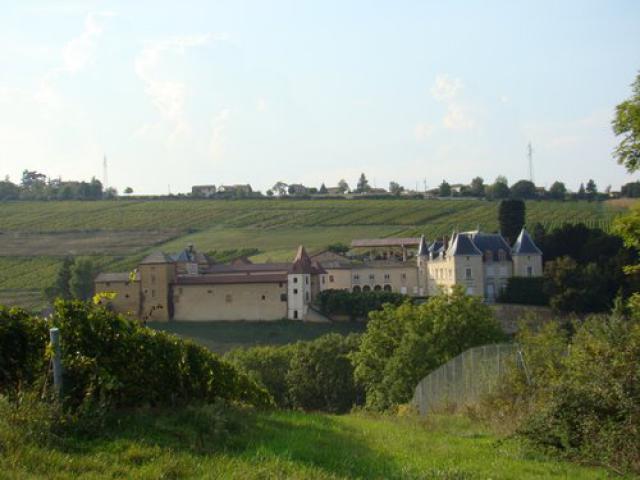 Chateau de Saint Fonds