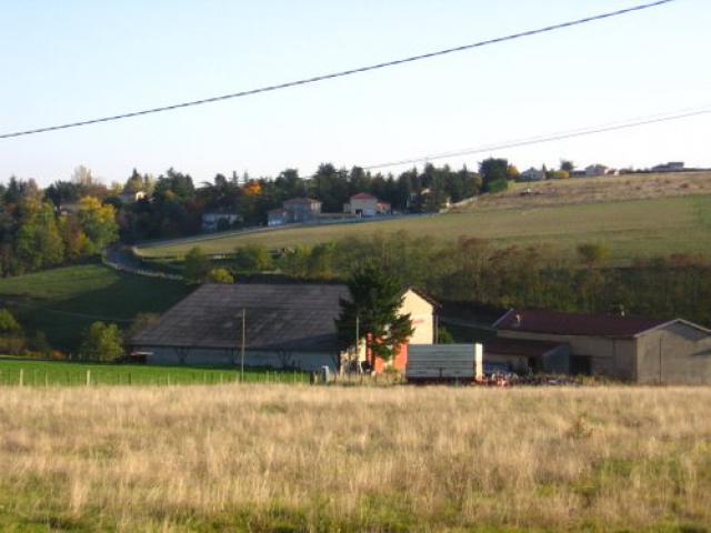 Une des rares exploitation agricole de l'ouest lyonnais.
