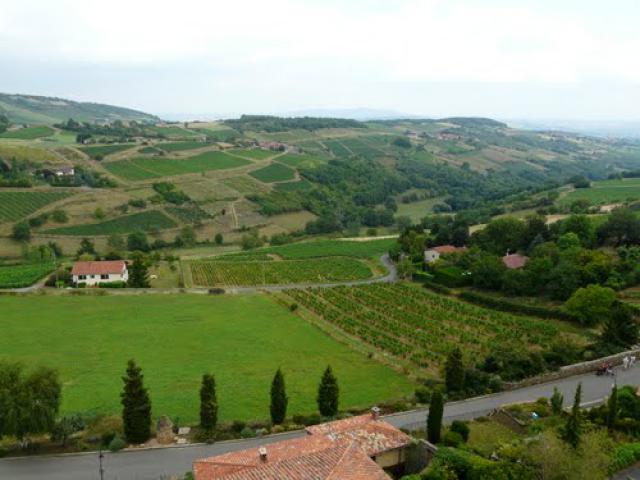 des vignes au bon vin du beaujolais avec ces petit village a flan de colline