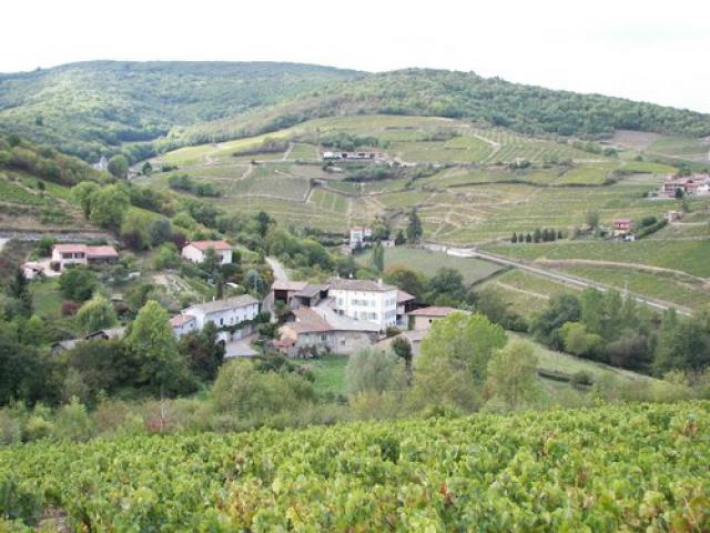 Les Saignes - Beaujeu