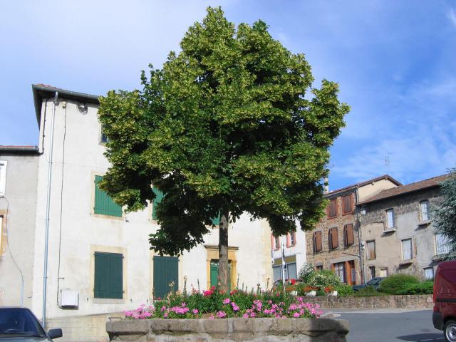 Le Boidon