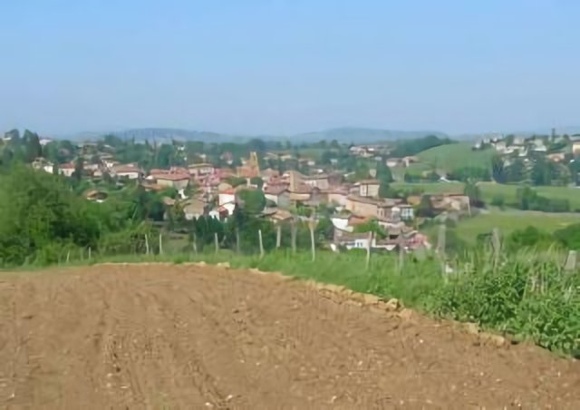 Savigny