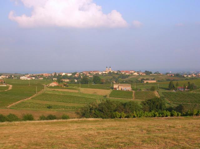 ‪Régnié-Durette‬ vue depuis Lantignié, Rhône, FRANCE