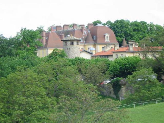 château dans les bois