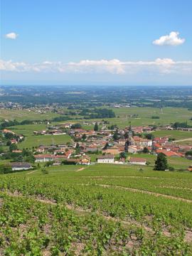 Vue de la ville de Fleurie, Rhône, France, le 28 mai 2012 depuis la Madonne.