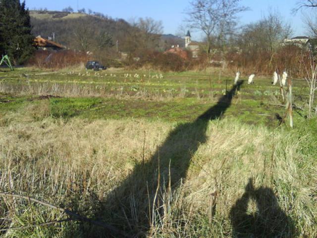 vers St Romain en Gier