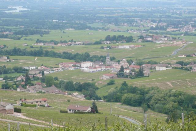 Vignoble du Moulin à Vent à Chénas (Rhône) en 2009.