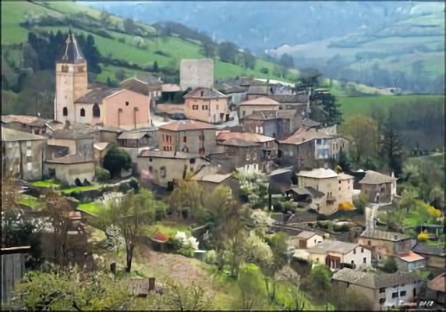 Chamelet - vue générale