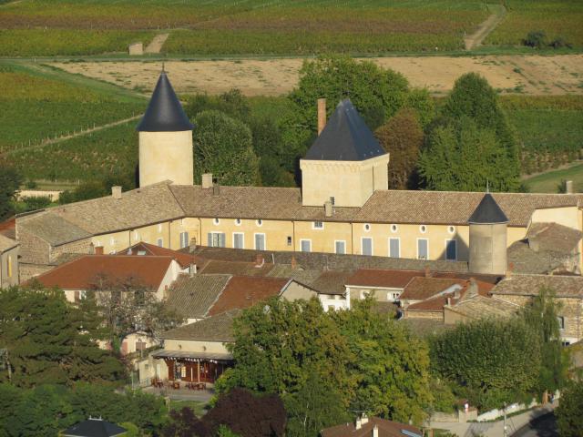 Chateau de Saint Lager: les façades et les toitures du donjon et de la tour ronde