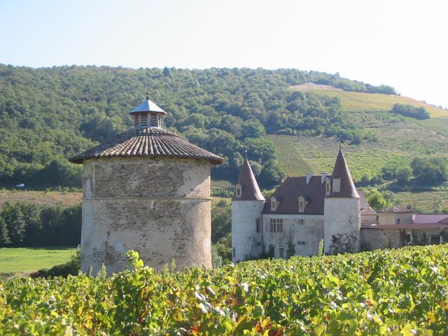 Château de La Palud avec son pigeonnier