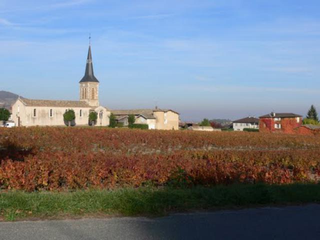 Vignobles & Village du Beaujolais (Rhône)