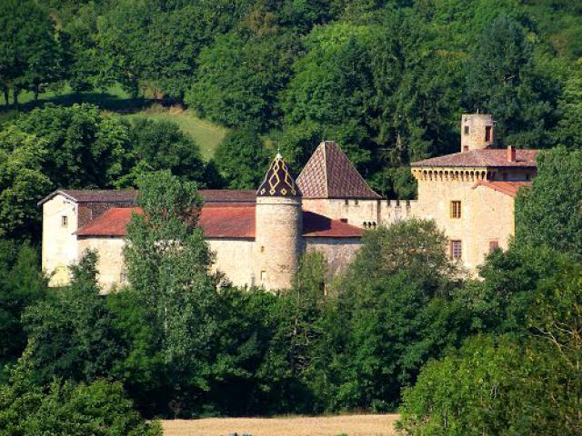 CHESSY - UN MANOIR
