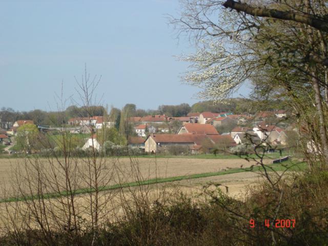 gourgeon vue du bois