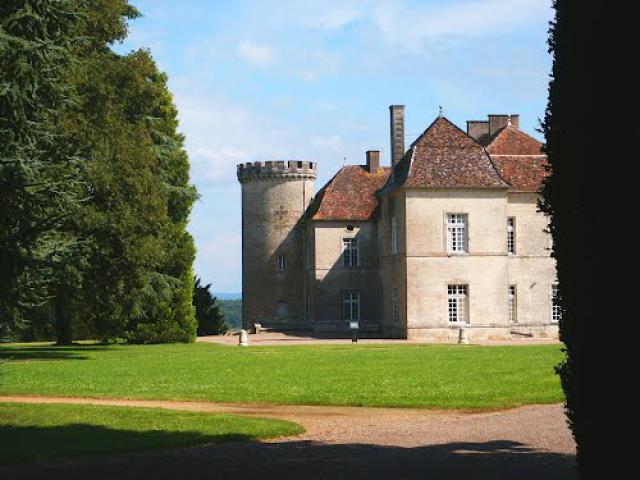 RAY-SUR-SAÔNE - LE CHÂTEAU