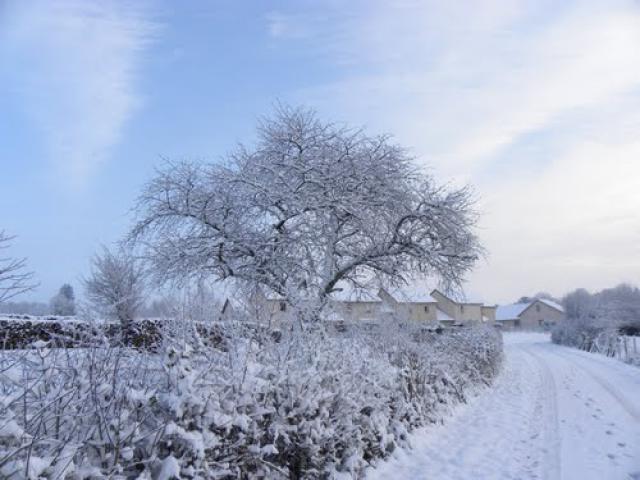 Marnay sous la neige