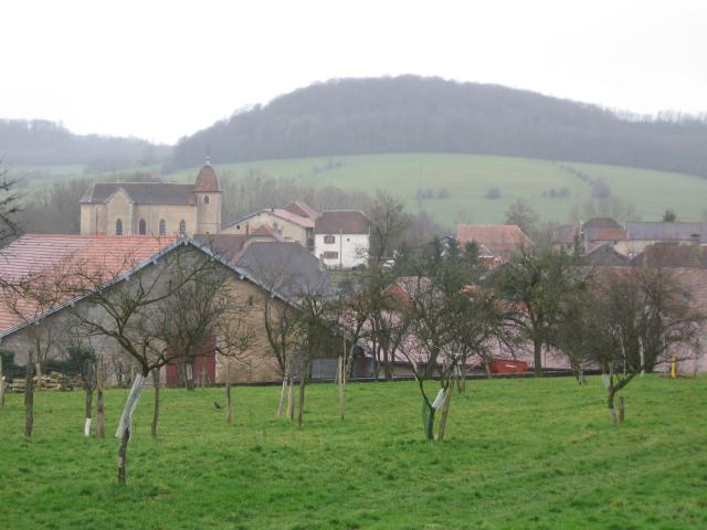 Vue du village de Grammont (Haute-Saône) France