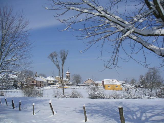 abelcourt under snow