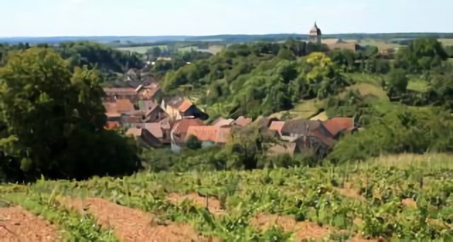 Bucey lès Gy, Roche