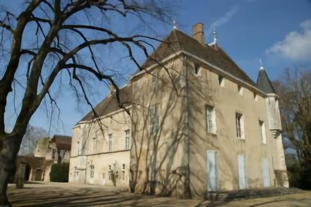 Palais princier des ducs de Bourgogne