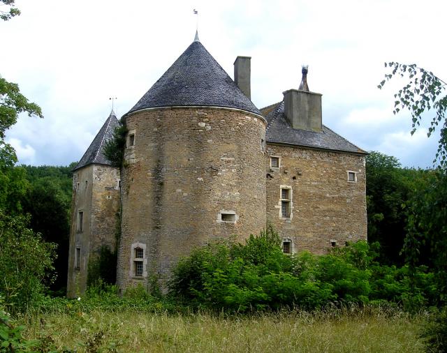 Le château-fort de Ruffey (Sennecey-le-Grand).
