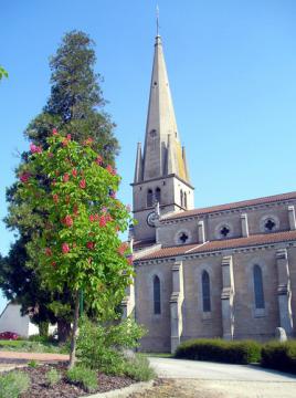 église de savigny en revermont