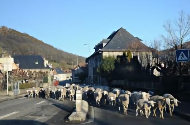 Engomer Ariege