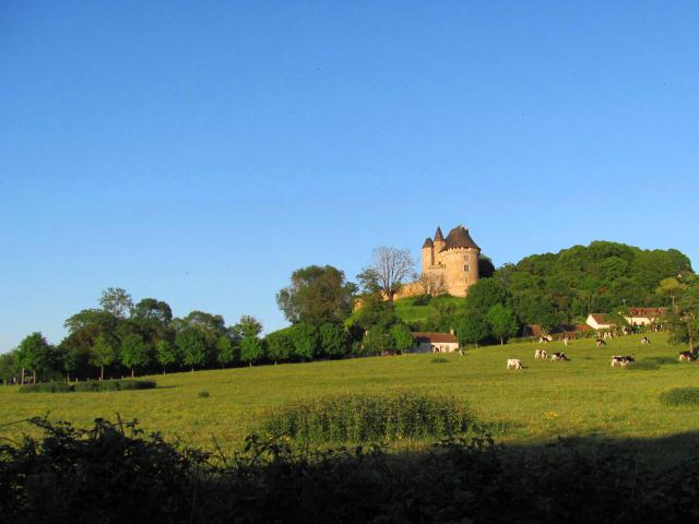château de Ballon (72)