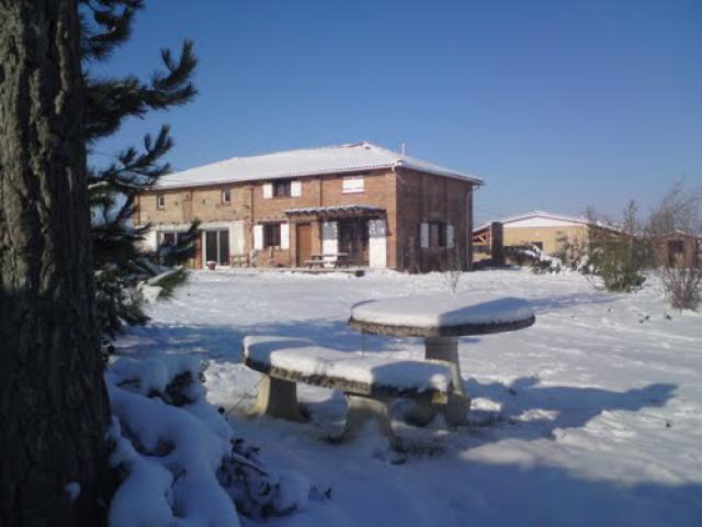 Sous la neige