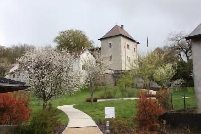 Chateau de Boisy