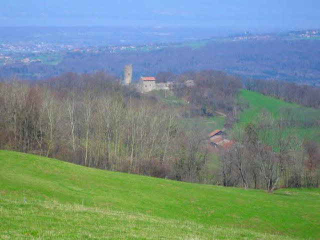 La Tour de Langin vue du Sauget 03.04.2005