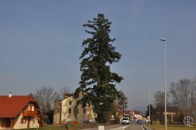 On the road of Thonon-les-bains